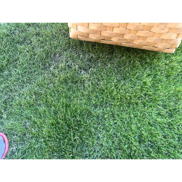 Longaberger 2003 Large Good Ol' Summertime Boardwalk Basket, Protector, Liner - Picture 6 of 9